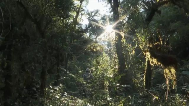 部隊穿越哀牢山現(xiàn)場實拍，一線部隊行進畫面曝光