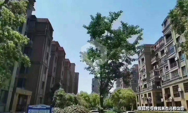 云煙 第194頁(yè)
