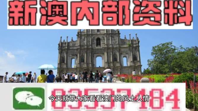 新澳資料大全正版資料2024年免費(fèi)下載，準(zhǔn)確資料解釋落實(shí)_WP88.61.16