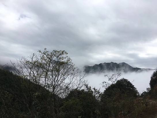 探索自然美景之旅，尋找內(nèi)心的平和與寧靜——Lu福利之旅的驚喜等待您！