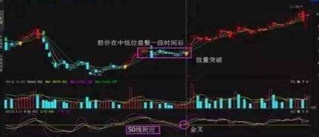 新奧門特免費資料大全火鳳凰,實際指標_CHU473.35金丹