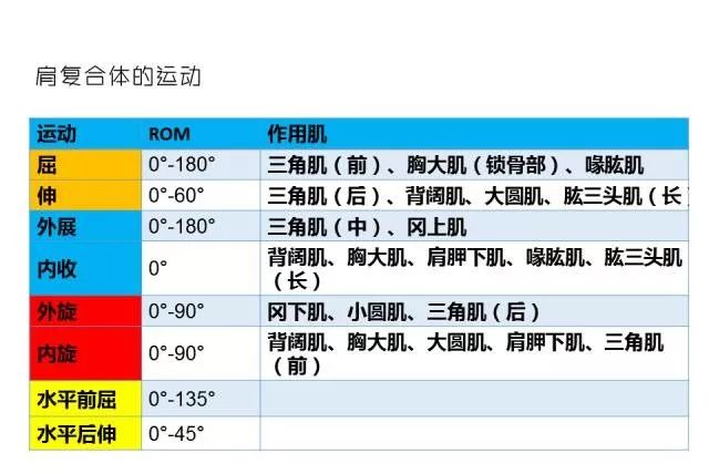 全國聯(lián)銷正版高清圖_ISK56.530影像處理全身數(shù)據(jù)指導(dǎo)枕