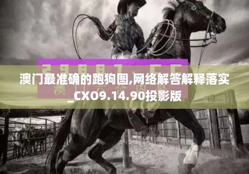 澳門最準確的跑狗圖,網(wǎng)絡解答解釋落實_CXO9.14.90投影版