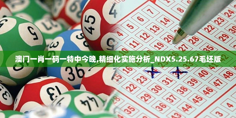 澳門一肖一碼一特中今晚,精細(xì)化實(shí)施分析_NDX5.25.67毛坯版