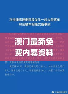 澳門最新免費內(nèi)幕資料，11月19日深度解析與解答方案_SVP8.12.34標準版