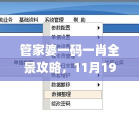 管家婆一碼一肖全景攻略，11月19日實(shí)地計(jì)劃設(shè)計(jì)驗(yàn)證_JSA8.44.26理想版