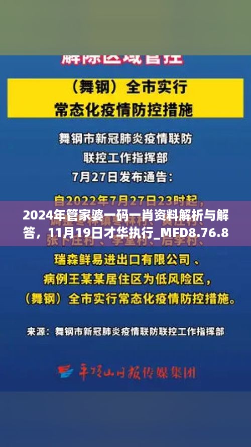 2024年管家婆一碼一肖資料解析與解答，11月19日才華執(zhí)行_MFD8.76.81加速版