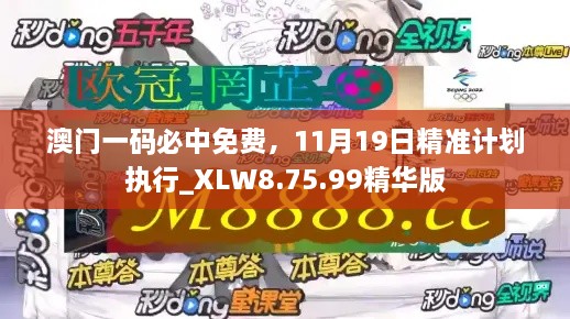 澳門一碼必中免費，11月19日精準(zhǔn)計劃執(zhí)行_XLW8.75.99精華版