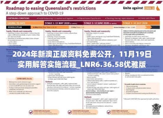2024年新澳正版資料免費公開，11月19日實用解答實施流程_LNR6.36.58優(yōu)雅版