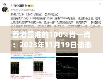 香港最準的100%肖一肖：2023年11月19日動態(tài)解析指南_PHZ1.77.23解密版