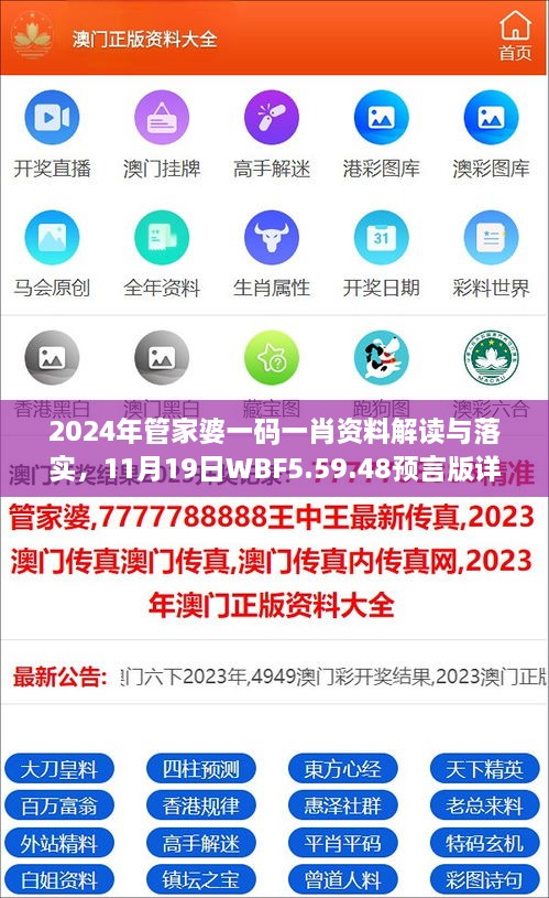 2024年管家婆一碼一肖資料解讀與落實(shí)，11月19日WBF5.59.48預(yù)言版詳解