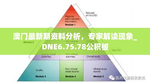 澳門最新期資料分析，專家解讀現(xiàn)象_DNE6.75.78公積板