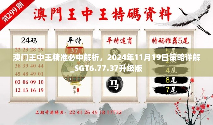 澳門王中王精準(zhǔn)必中解析，2024年11月19日策略詳解_SGT6.77.37升級(jí)版