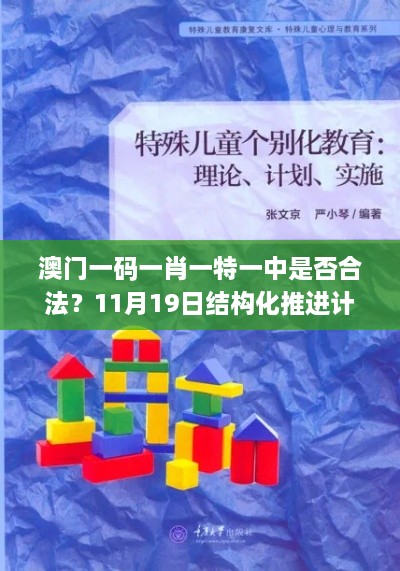 澳門一碼一肖一特一中是否合法？11月19日結(jié)構(gòu)化推進(jìn)計劃評估_JHZ7.37.43極速版