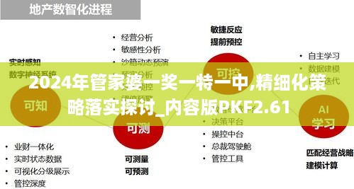 2024年管家婆一獎一特一中,精細化策略落實探討_內(nèi)容版PKF2.61