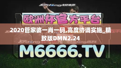 2020管家婆一肖一碼,高度協(xié)調(diào)實(shí)施_精致版DMN2.24