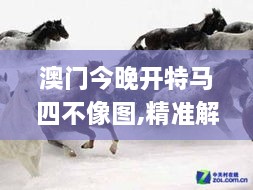 澳門今晚開特馬四不像圖,精準(zhǔn)解答解釋方案_自由版WBP8.74