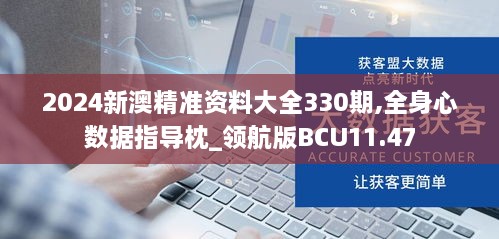 2024新澳精準資料大全330期,全身心數(shù)據(jù)指導枕_領航版BCU11.47