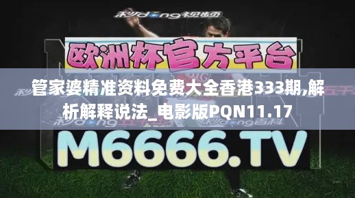 管家婆精準資料免費大全香港333期,解析解釋說法_電影版PQN11.17