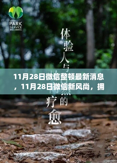 微信整頓新動態(tài)，啟程心靈之旅，擁抱自然新風(fēng)尚