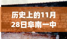 阜南一中歷史時刻下的勵志篇章，最新事件回顧與校園之光