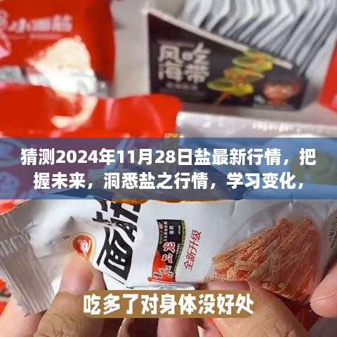 預(yù)測未來鹽行情，洞悉鹽之變化，把握機(jī)遇成就夢想