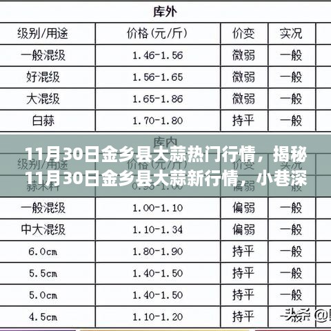 揭秘金鄉(xiāng)縣大蒜最新行情，小巷深處的獨(dú)特風(fēng)味大蒜（11月30日）