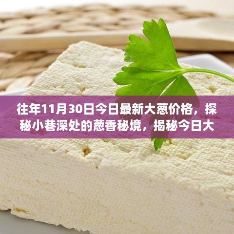 探秘小巷深處的蔥香秘境，揭秘往年今日最新大蔥價(jià)格背后的故事