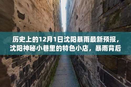 沈陽暴雨背后的神秘小巷寶藏，歷史、最新預(yù)報與特色小店探索