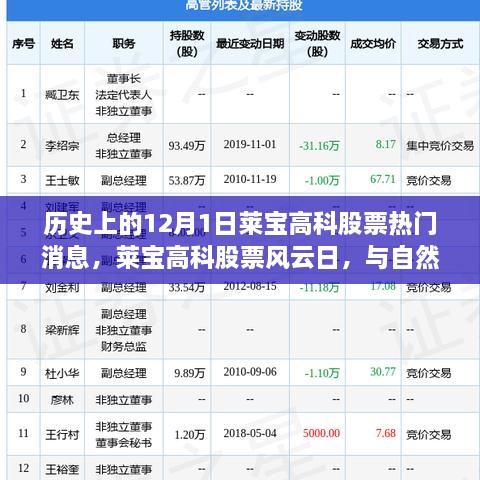 歷史上的12月1日萊寶高科股票熱門消息，萊寶高科股票風(fēng)云日，與自然美景的奇妙邂逅，心靈旅行的啟程時刻