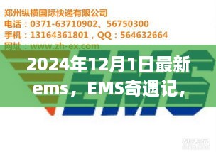 EMS奇遇記，快遞背后的溫暖故事揭秘，2024年12月最新篇章