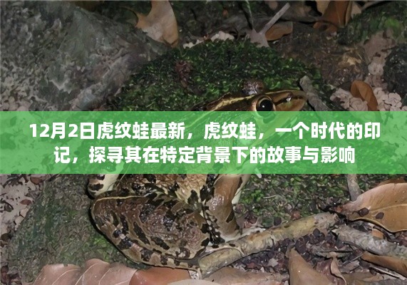 虎紋蛙，時(shí)代印記背后的故事與影響探尋（最新報(bào)道）