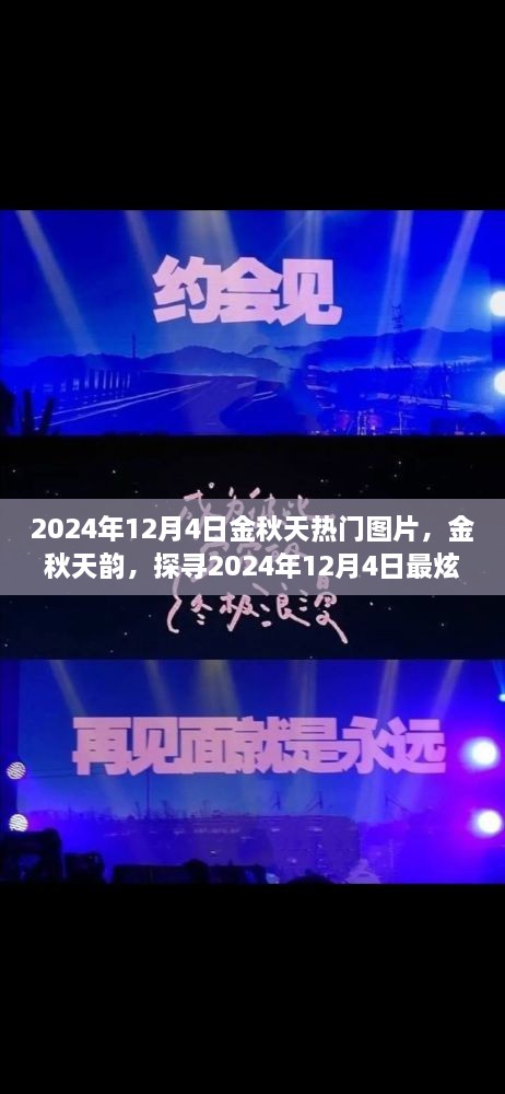 探尋金秋韻味，2024年12月4日熱門圖片精選