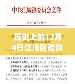 江川區(qū)人事任免深度解析，歷史背景、特性分析、競品對比與用戶群體洞察