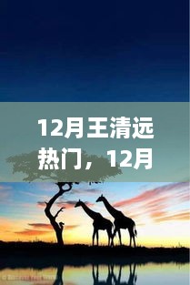 追尋自然之旅，王清遠(yuǎn)在十二月的腳步與心靈之旅