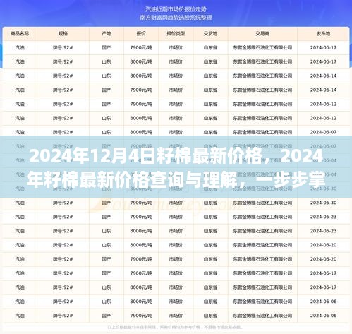 2024年12月4日籽棉最新價格，2024年籽棉最新價格查詢與理解，一步步掌握行情分析技能