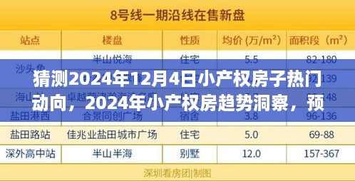2024年小產(chǎn)權(quán)房趨勢洞察與行動(dòng)指南，未來走向預(yù)測及熱門動(dòng)向探討