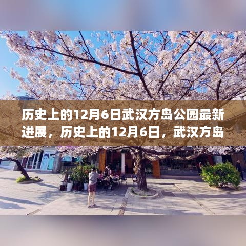 武漢方島公園最新進(jìn)展深度解析，歷史上的12月6日回顧與進(jìn)展報告