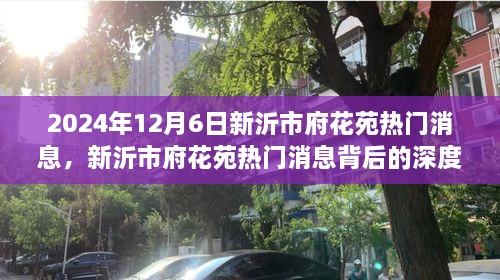 新沂市府花苑熱門(mén)消息深度解讀，多元視角探討