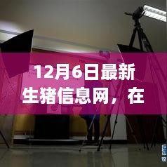 云端豬事，最新生豬信息小記（12月6日）