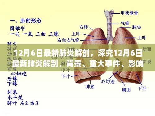 深究最新肺炎解剖，背景、重大事件、影響與時代定位（12月6日最新報告）