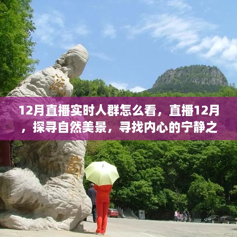 12月直播探尋自然美景，探尋內(nèi)心寧靜之旅的實(shí)時觀眾洞察