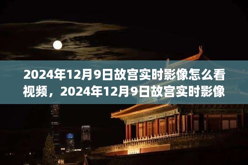 2024年12月9日故宮實時影像觀看指南，探索古都的在線之旅