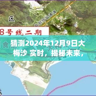 揭秘大梅沙海域未來生態(tài)與環(huán)境展望，2024年12月9日海洋生態(tài)實時揭秘