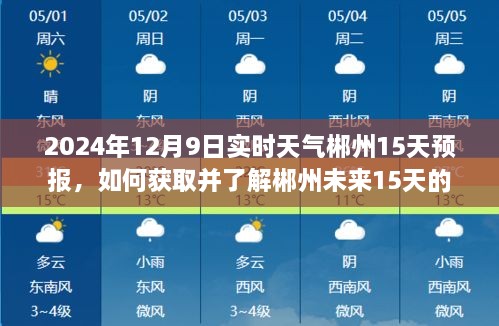 初學(xué)者指南，如何獲取并了解郴州未來15天的實時天氣預(yù)報——2024年12月9日及未來天氣速覽