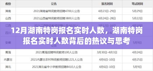 湖南特崗報名實時人數(shù)熱議與思考，背后的真相與啟示