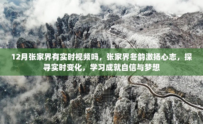 揭秘張家界冬日的實(shí)時(shí)變化，探尋夢(mèng)想與自信的源泉