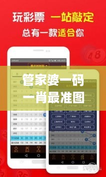 管家婆一碼一肖最準圖片,數(shù)據(jù)實施整合方案_SHD7.172