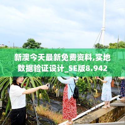 新澳今天最新免費資料,實地數(shù)據(jù)驗證設計_SE版8.942