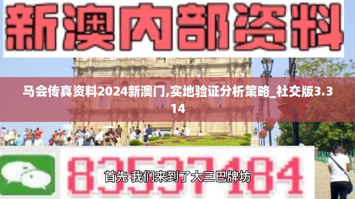 馬會傳真資料2024新澳門,實(shí)地驗(yàn)證分析策略_社交版3.314